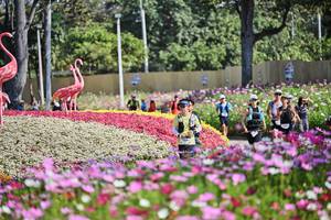 BIB: 
                            <button type="button" onclick="openModal(27806666)" class="btn btn-primary btn-sm float-right btn-popup" data-toggle="modal" data-target=".modal-high-quality">
                        <i class="fas fa-shopping-cart"></i> Add to Cart
                    </button>
                                            <button type="button" onclick="isThisMe(27806666, true)" class="btn btn-success btn-sm float-right btn-popup btn-isme hidden" data-toggle="tooltip" data-placement="bottom" title="นี่คือรูปของคุณใช่ไหม คลิกที่นี่เพื่อเอาเข้าอัลบั้ม">
                        <i class="fas fa-plus"></i> Add to album
                    </button>
                    <button type="button" onclick="isThisMe(27806666, false)" class="btn btn-warning btn-sm float-right btn-popup btn-isnotme hidden">
                        <i class="fas fa-ban"></i> Remove from album
                    </button>